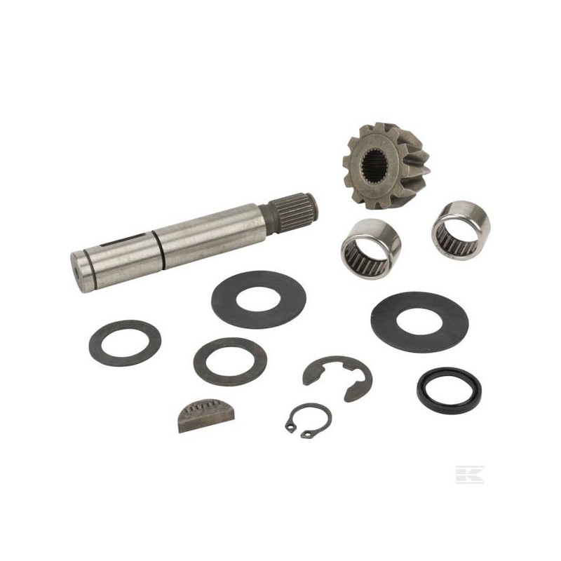 F000-6595-01 KIT ARBRE ENTREE BV DANA