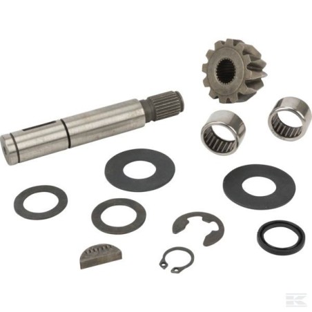 F000-6595-01 KIT ARBRE ENTREE BV DANA