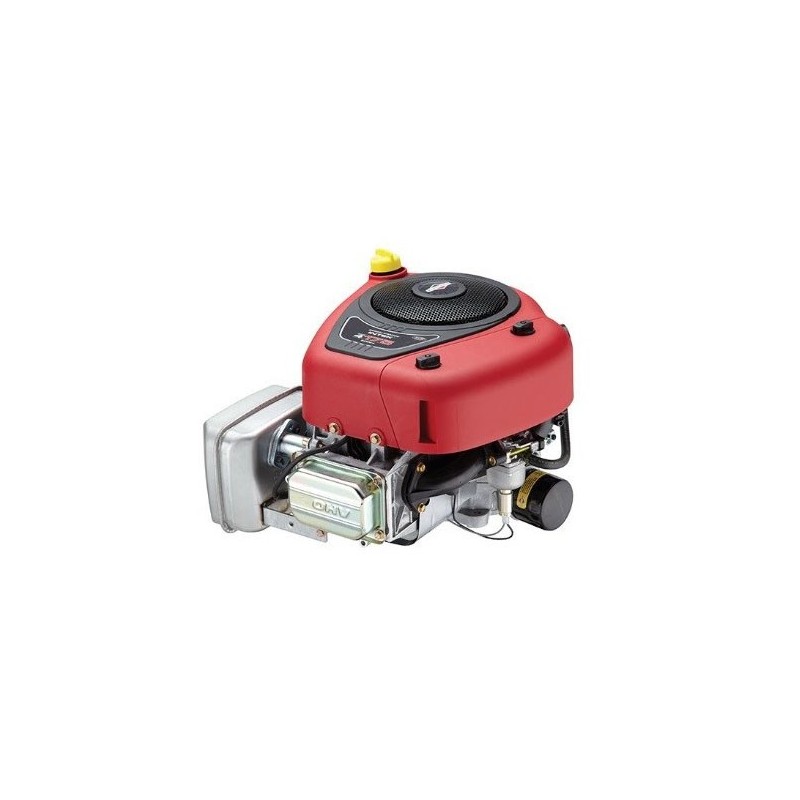Moteur Briggs&Stratton 17.5cv