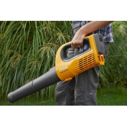 SAB 100 AE kit Souffleur 