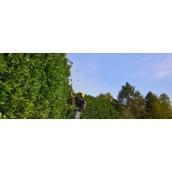 SPH 900 AE telescopische heggenschaar 