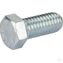 118551535/0 ZESHOEKIGE BOUT 