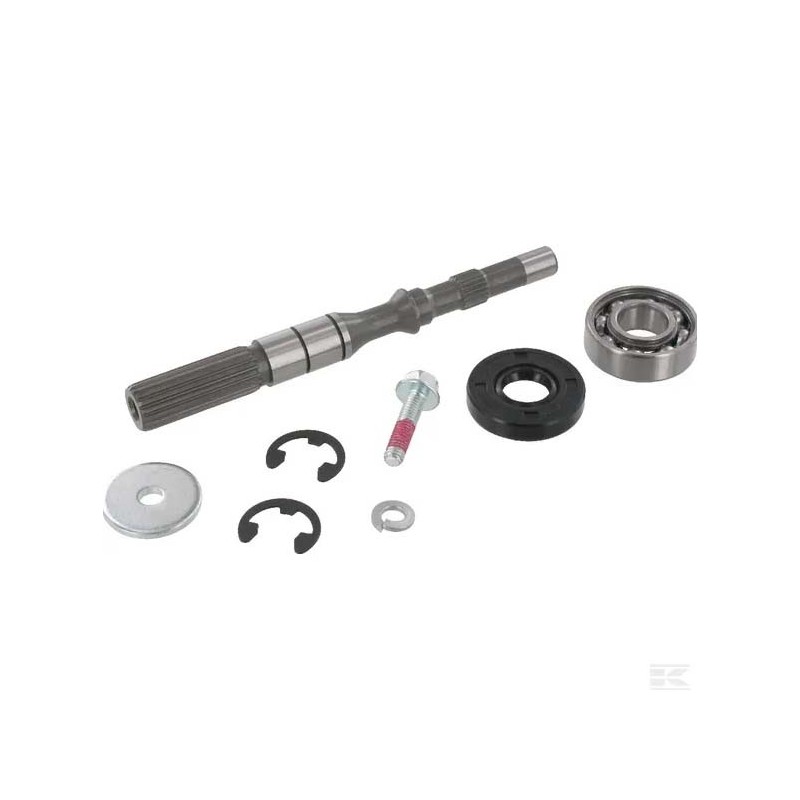 1A646099980 Kit arbre de pompe/roulement 