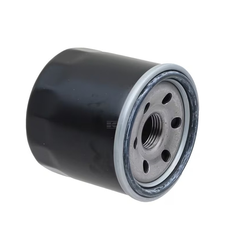118551566/0 Oil Filter