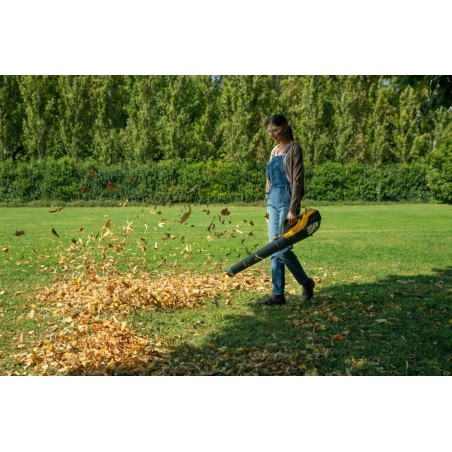 Souffleur SAB 500 AE