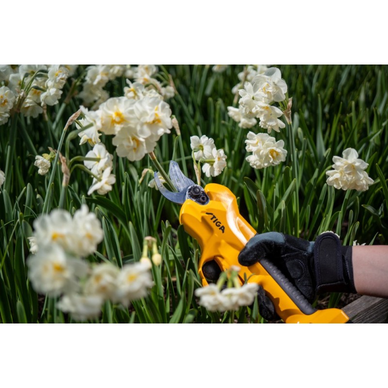 SC100e KIT Sécateur sur batterie