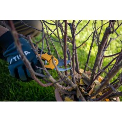 Sécateur à lame franche STIGA – Coupe précise jusqu’à 24 mm