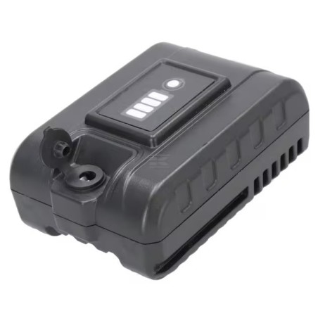 118552462/1 Li-Ion Battery 10.8V-2.0Ah St Ls (2 Pin)