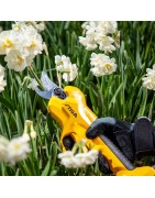 Sécateur - coupe branche sur batterie