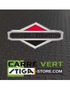 BRIGGS&STRATTON- Spare parts
